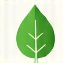 Icon showing a leaf, representing natural and organic materials.